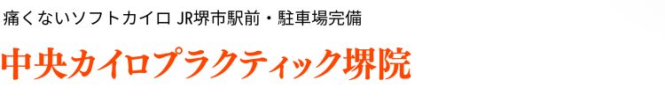 中央カイロプラクティック院 堺